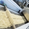 機械100を作る自動即刻の米ヌードル- 500kg/H