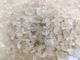 SIEMENSの人工的な米の加工ライン多機能の対ねじ押出機